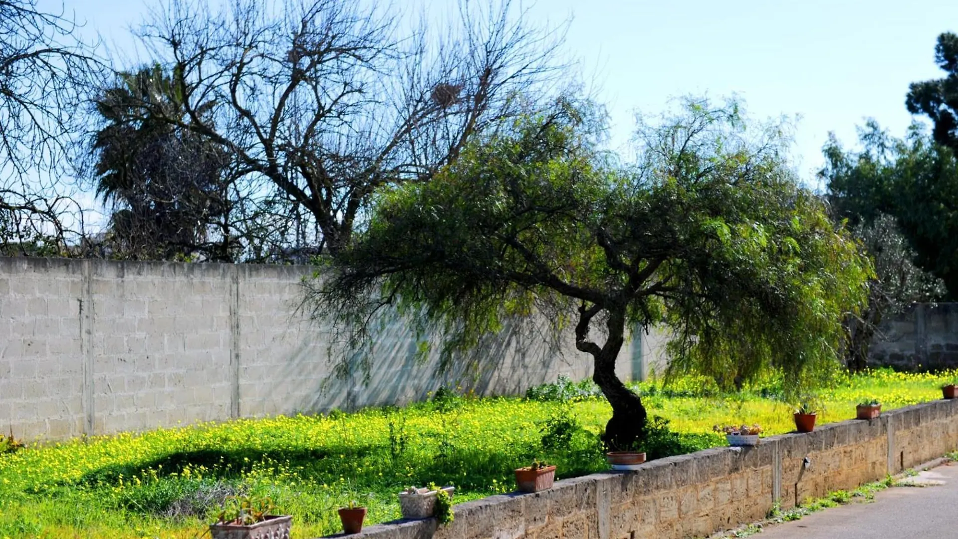 Le Residenze Salentine - Case Vacanza In Lecce Italy